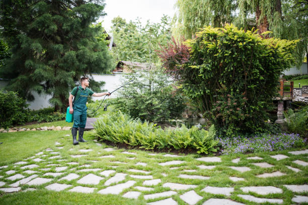 Best Best Pest Control Companies  in Rural Hall, NC