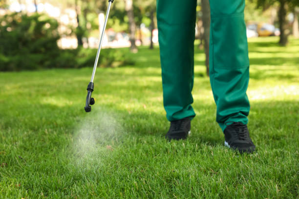 Best Local Pest Control Services  in Rural Hall, NC