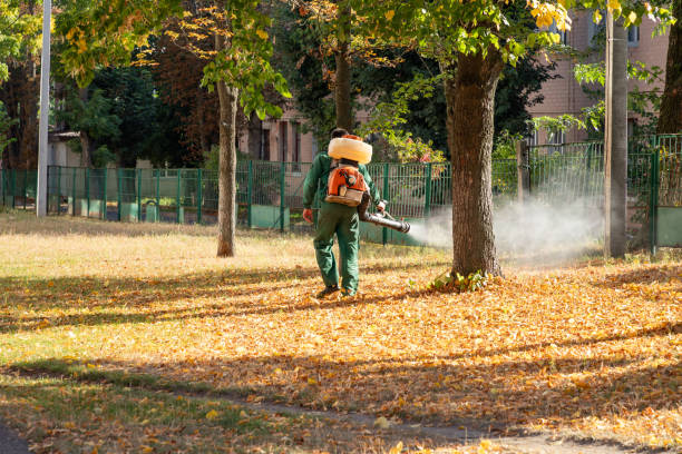 Pest Prevention Services in Rural Hall, NC