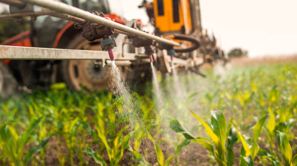 Best Affordable Pest Control Services  in Rural Hall, NC