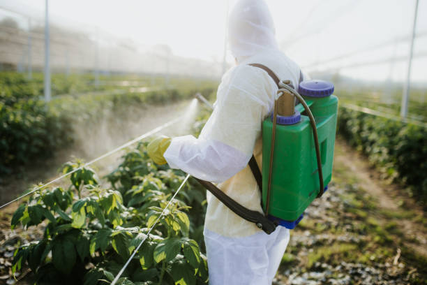 Best Exterminator Services  in Rural Hall, NC